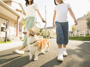 岡山でこだわりのあるドレスが選べる